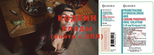 амф Кулебаки