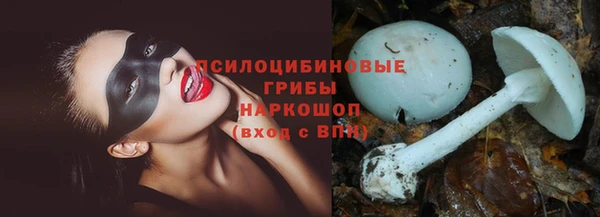 соль ск Краснотурьинск