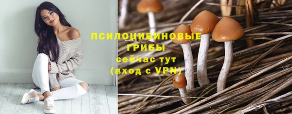 соль ск Краснотурьинск