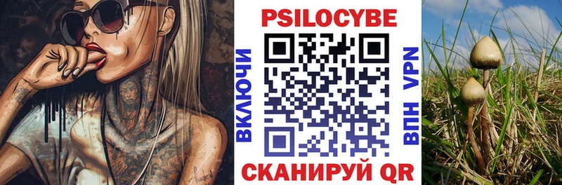 Псилоцибиновые грибы мухоморы  Славгород 