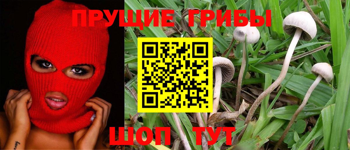 Славгород  Псилоцибиновые грибы ЛСД  Вход с VPN 