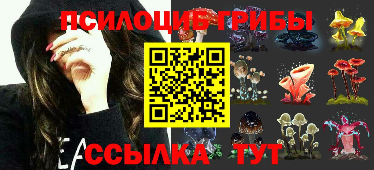 Галлюциногенные грибы GOLDEN TEACHER Славгород
